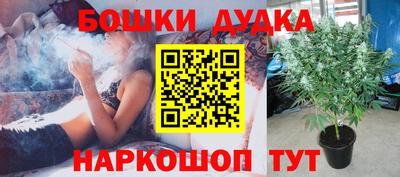 сатива Обь