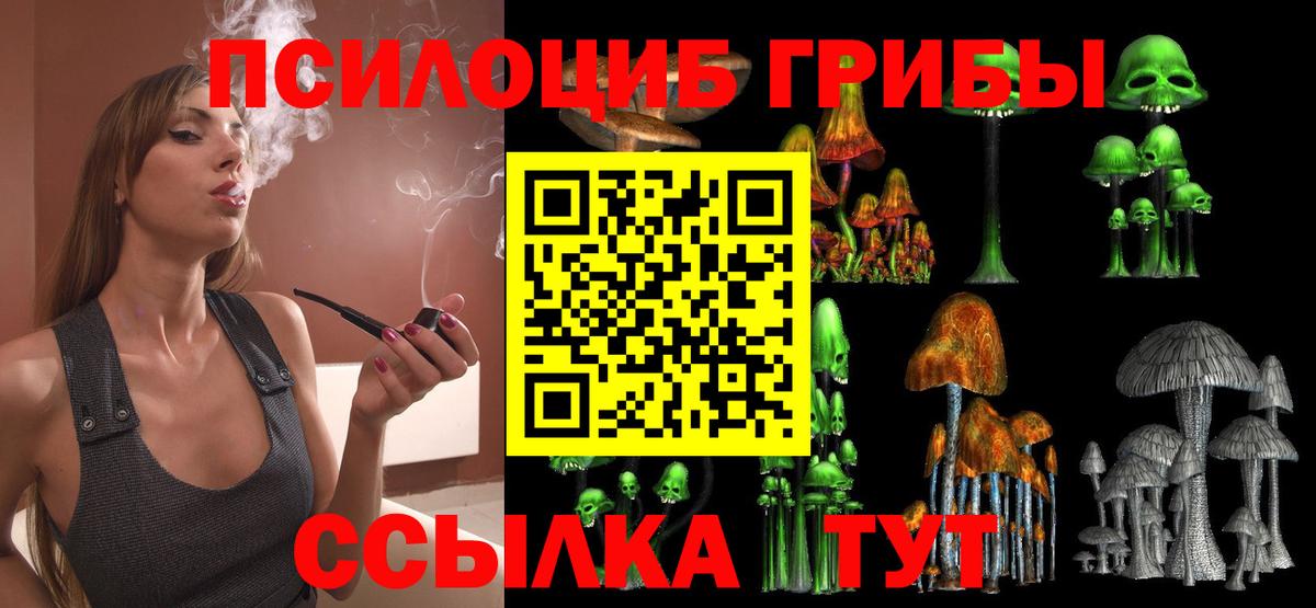 Томск  Галлюциногенные грибы ЛСД  наркота  Вход с VPN 