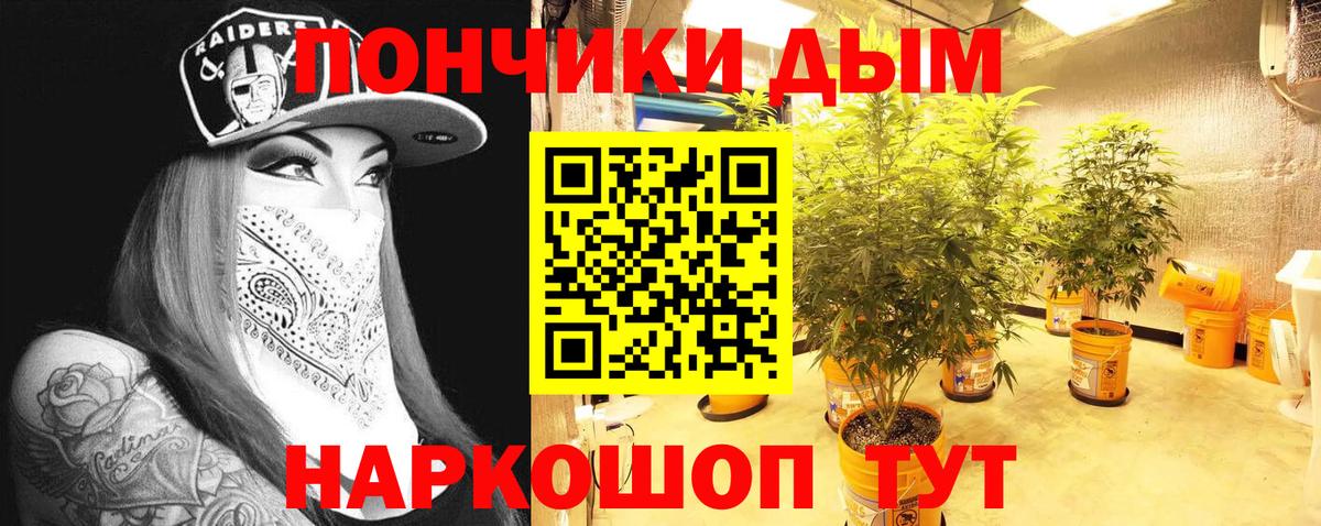 Конопля гибрид Томск